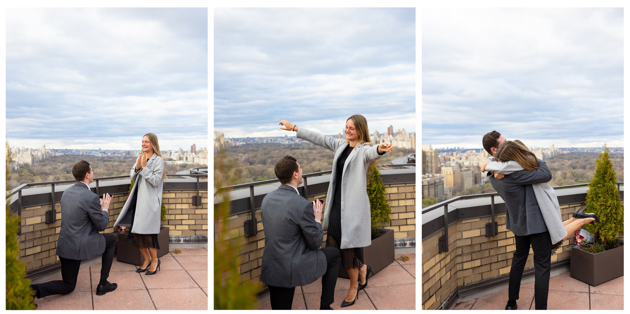 Central Park NYC Roofotp Proposal Photographer NYC_0002.jpg