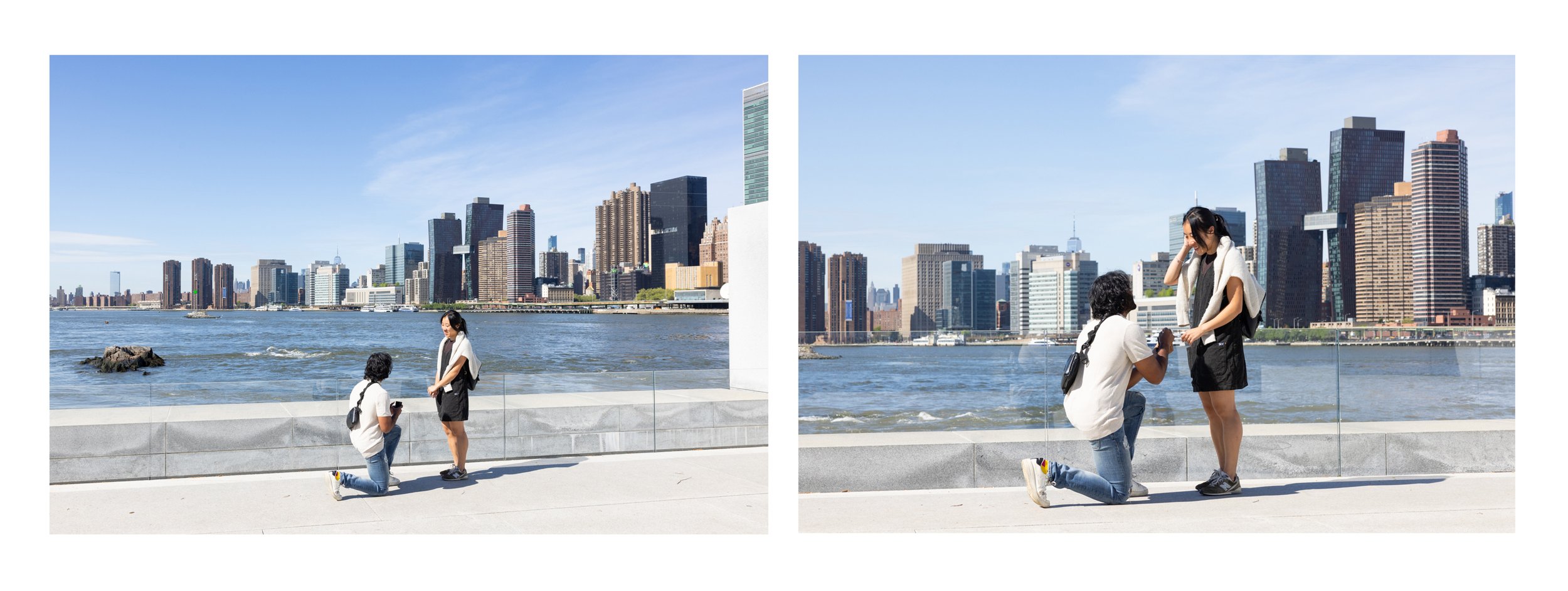 Nabhan's Roosevelt Island Proposal_03.jpg