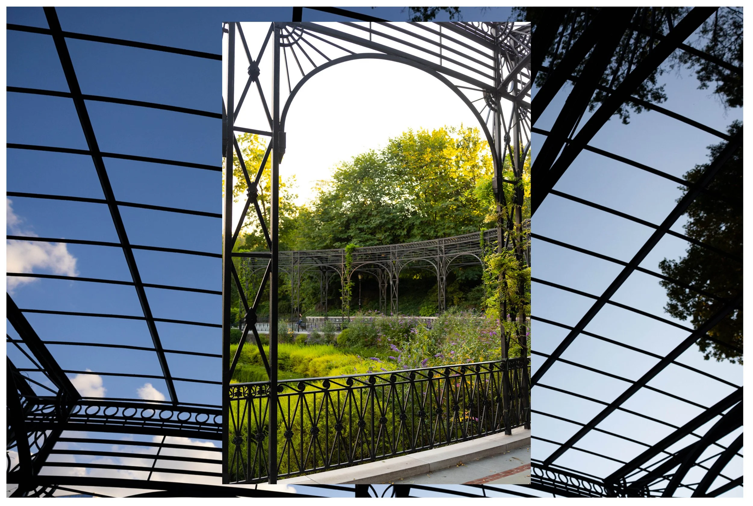 NYC Central Park Conservatory Garden Proposal Photographer _ _ 008.jpg