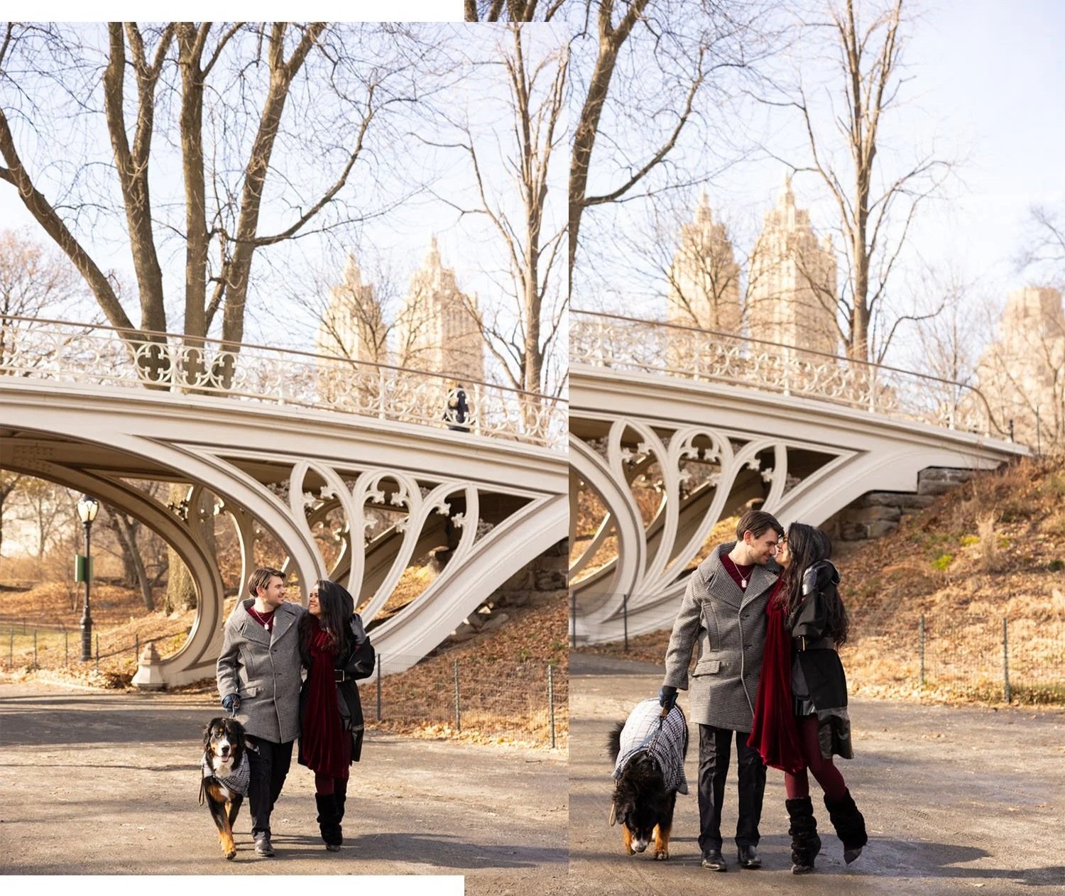 Central Park _ Gothic Bridge_07.jpeg