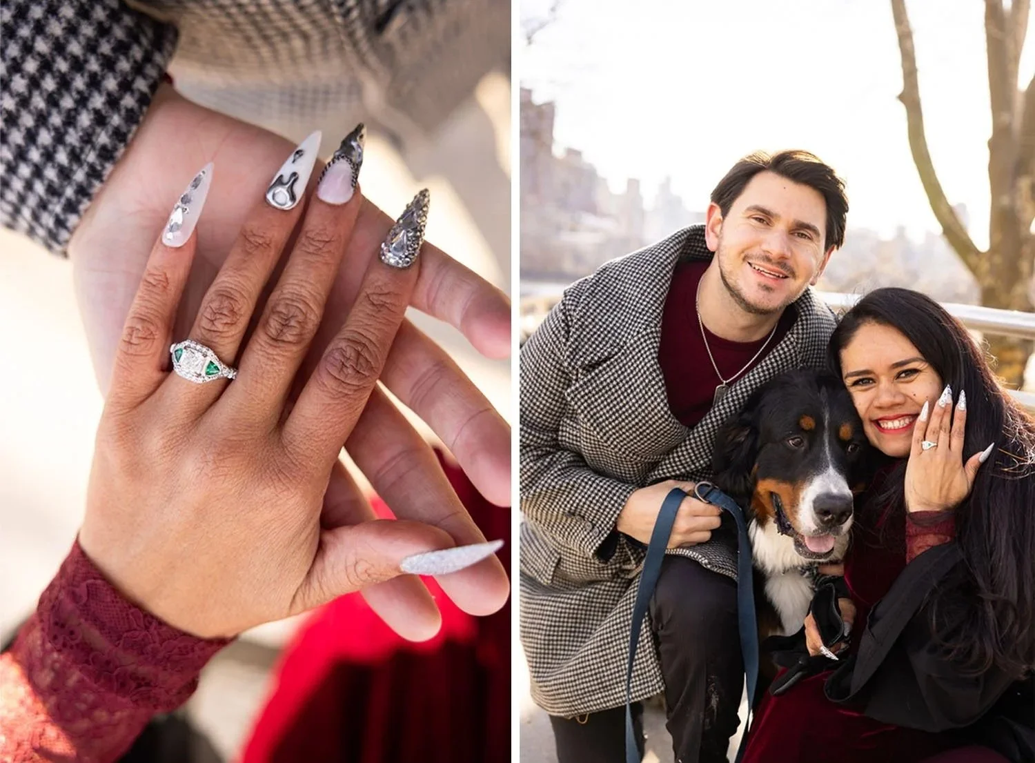 Central Park _ Gothic Bridge_05.jpeg