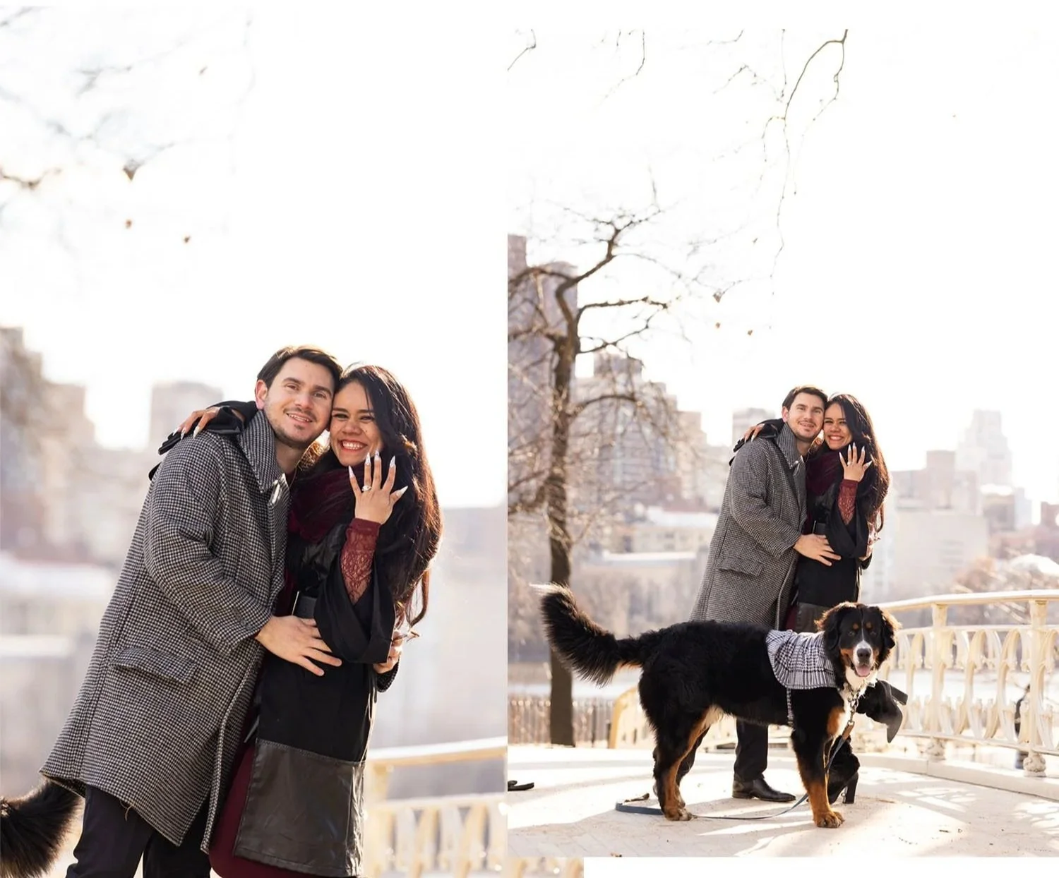 Central Park _ Gothic Bridge_01.jpeg