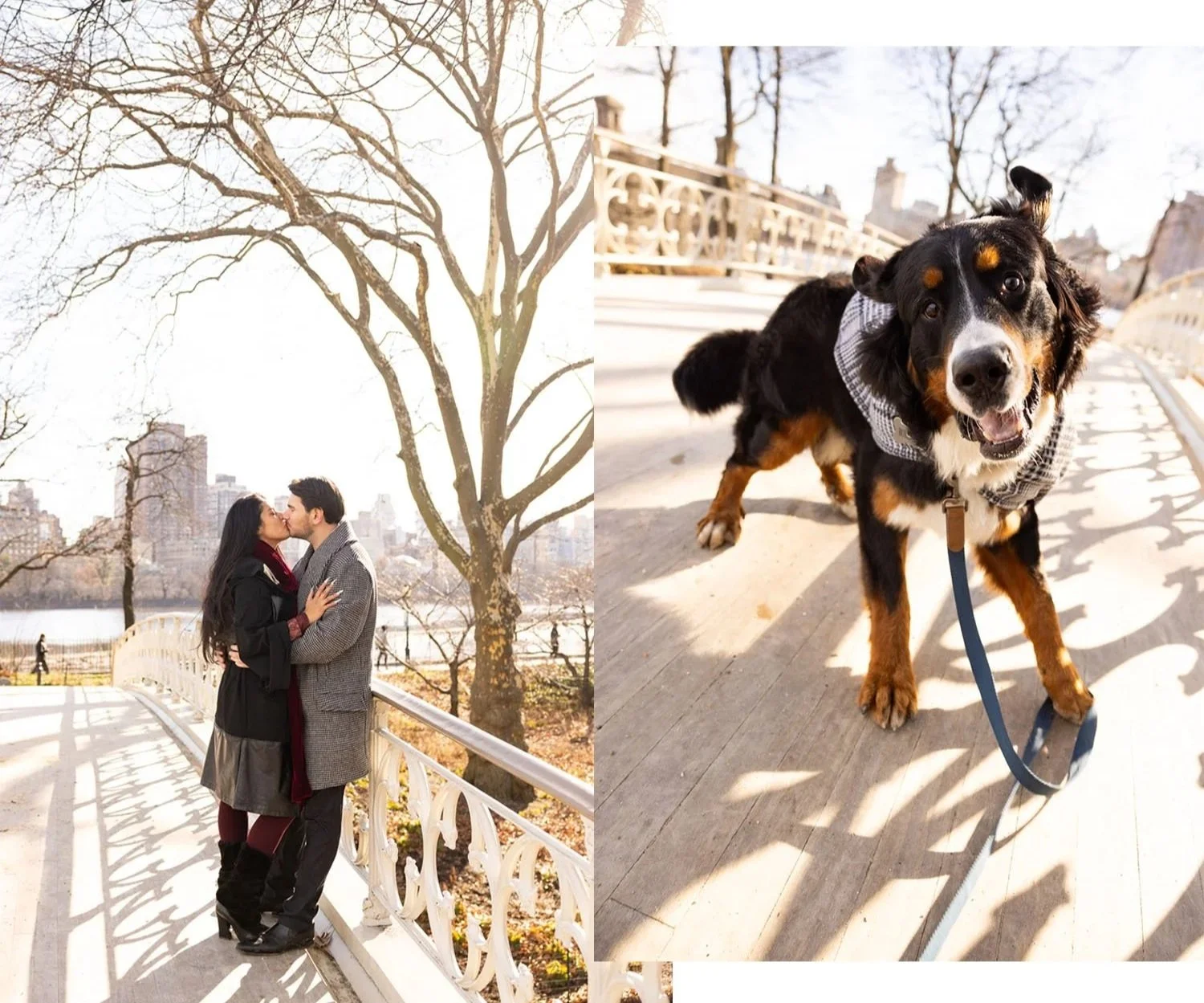 Central Park _ Gothic Bridge_06.jpeg