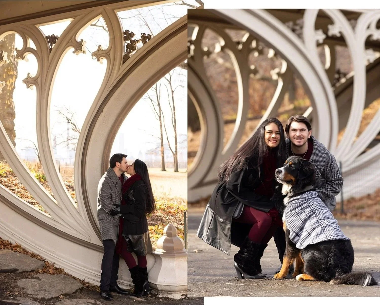 Central Park _ Gothic Bridge_03.jpeg