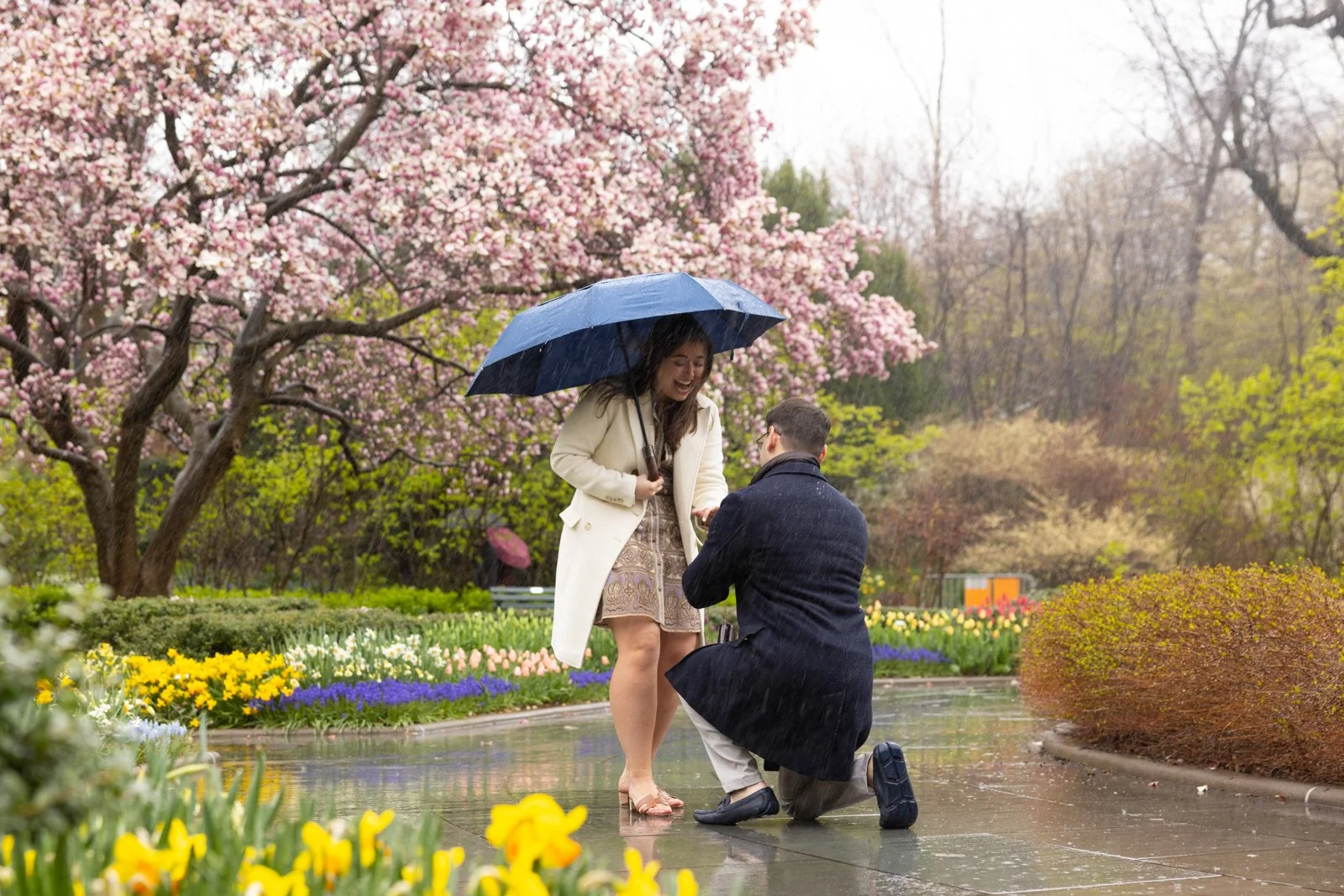 Best of 2025 _ 014.jpg