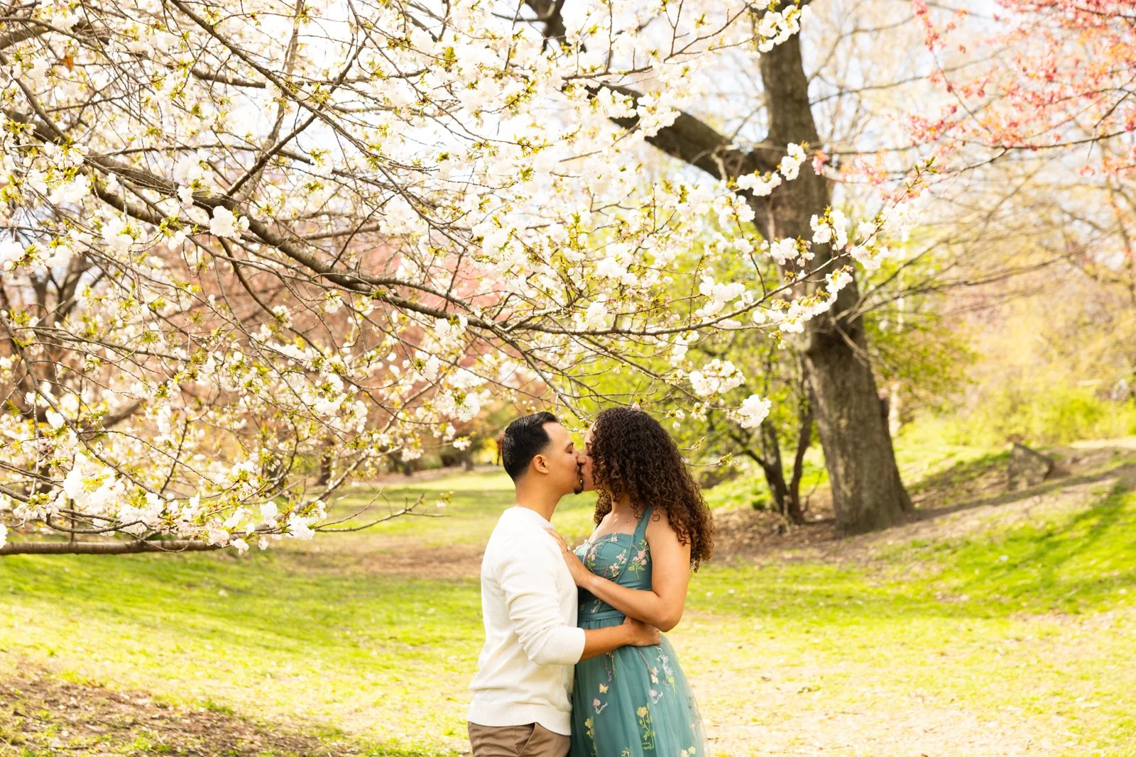 Central Park Cherry Blossom Photographer Engagement _ 012.jpg