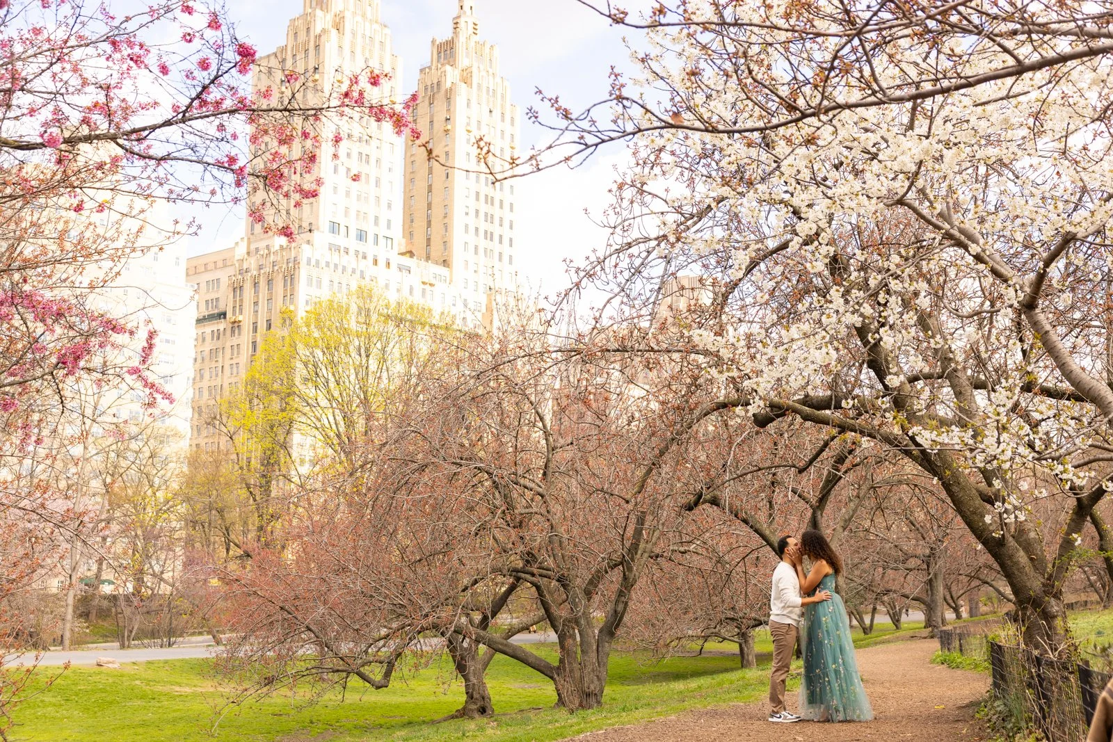 Central Park Cherry Blossom Photographer Engagement _ 015.jpg