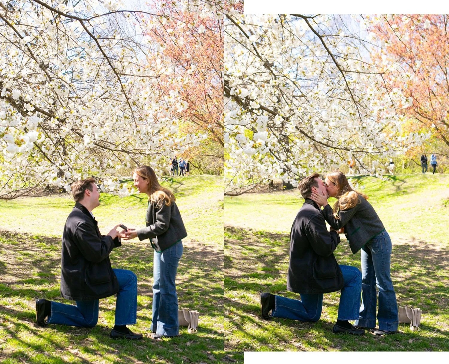 Cherry Blossom Proposal Photographer 1.jpeg