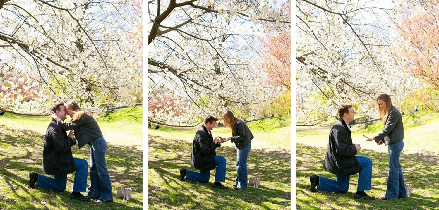 Cherry Blossom Proposal Photographer 2.jpeg