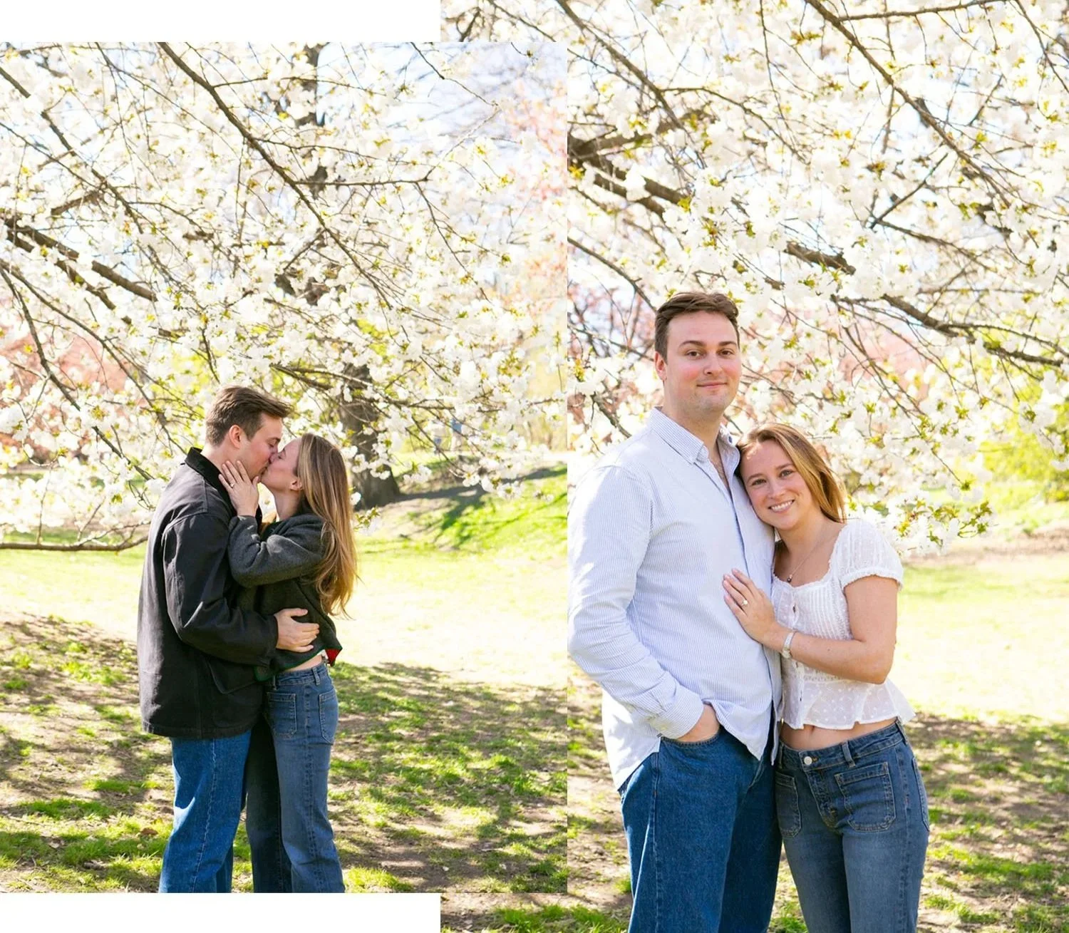 Cherry Blossom Proposal Photographer 4.jpeg