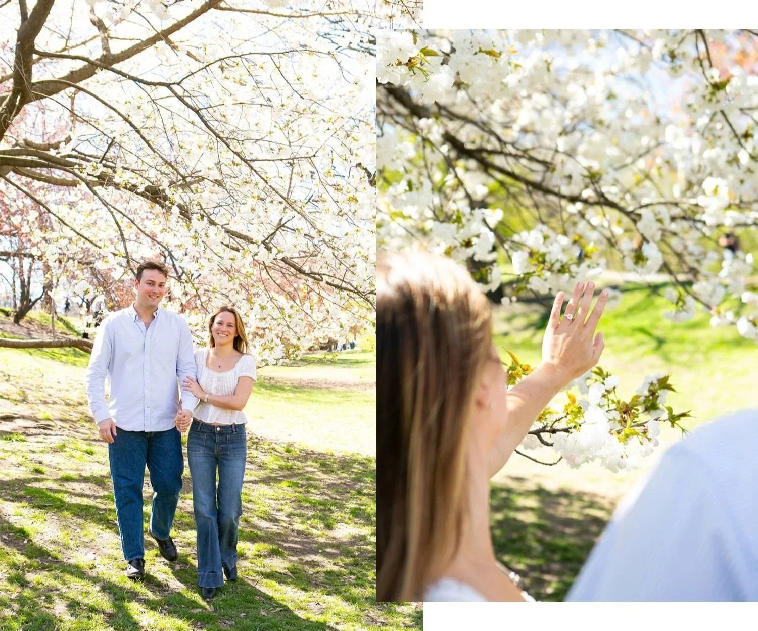 Cherry Blossom Proposal Photographer 5 .jpeg