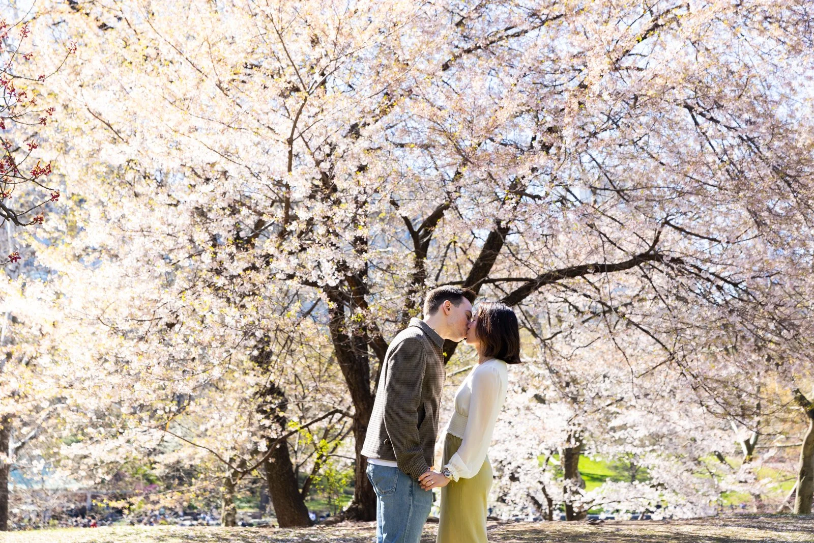 Central Park Cherry Blossom Proposal Engagement Photographer NYC _ 036.jpg
