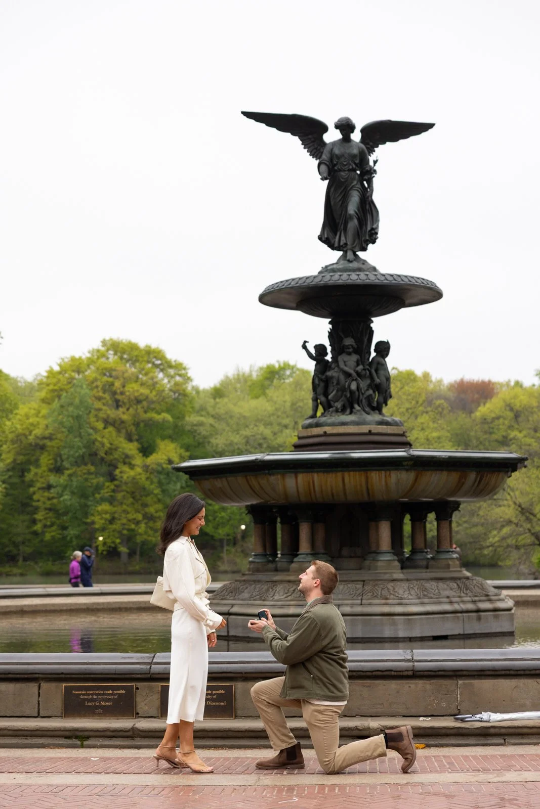 Bethesda_Fountain_Proposal_Photographer_09.jpg