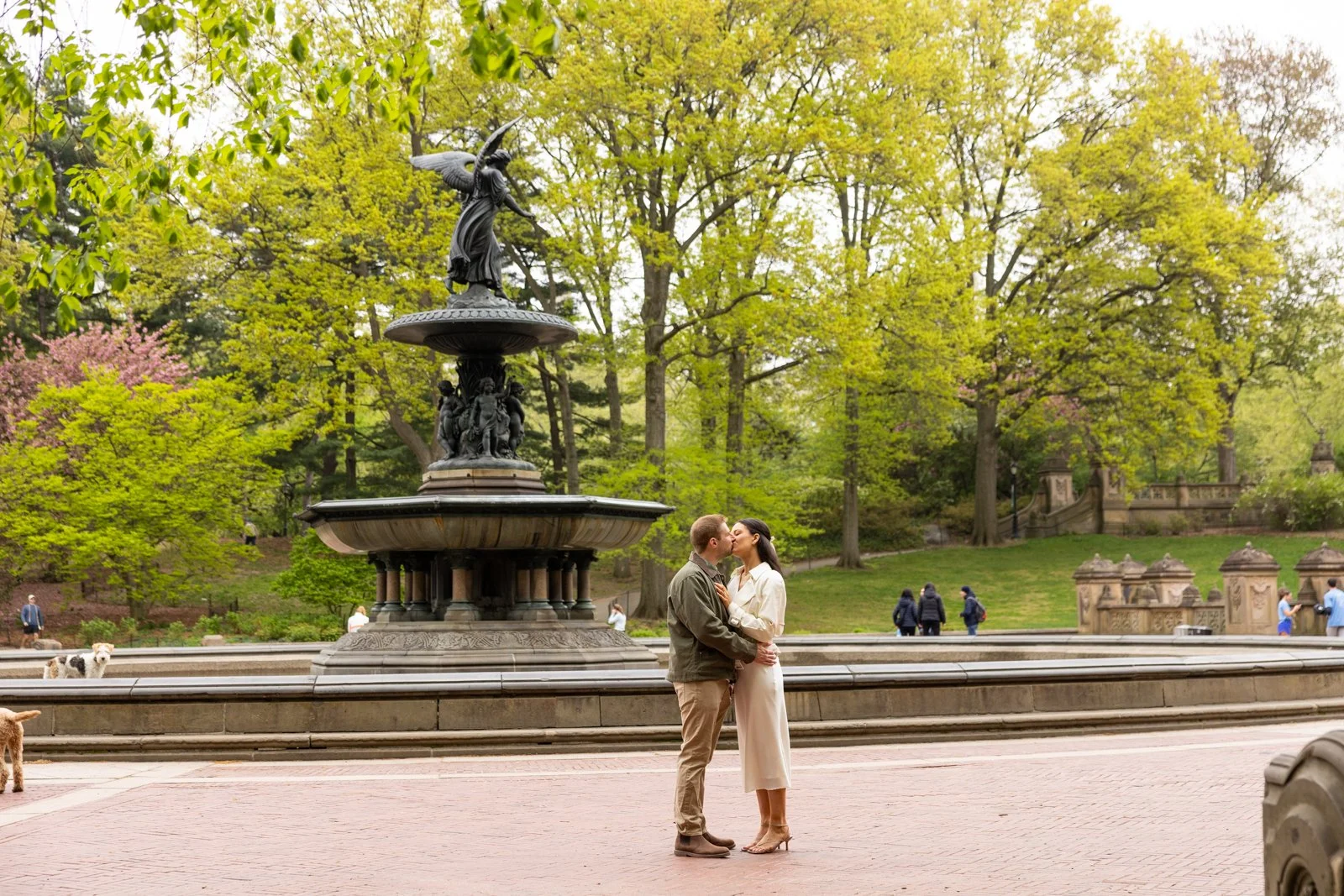 Bethesda_Fountain_Proposal_Photographer_18.jpg