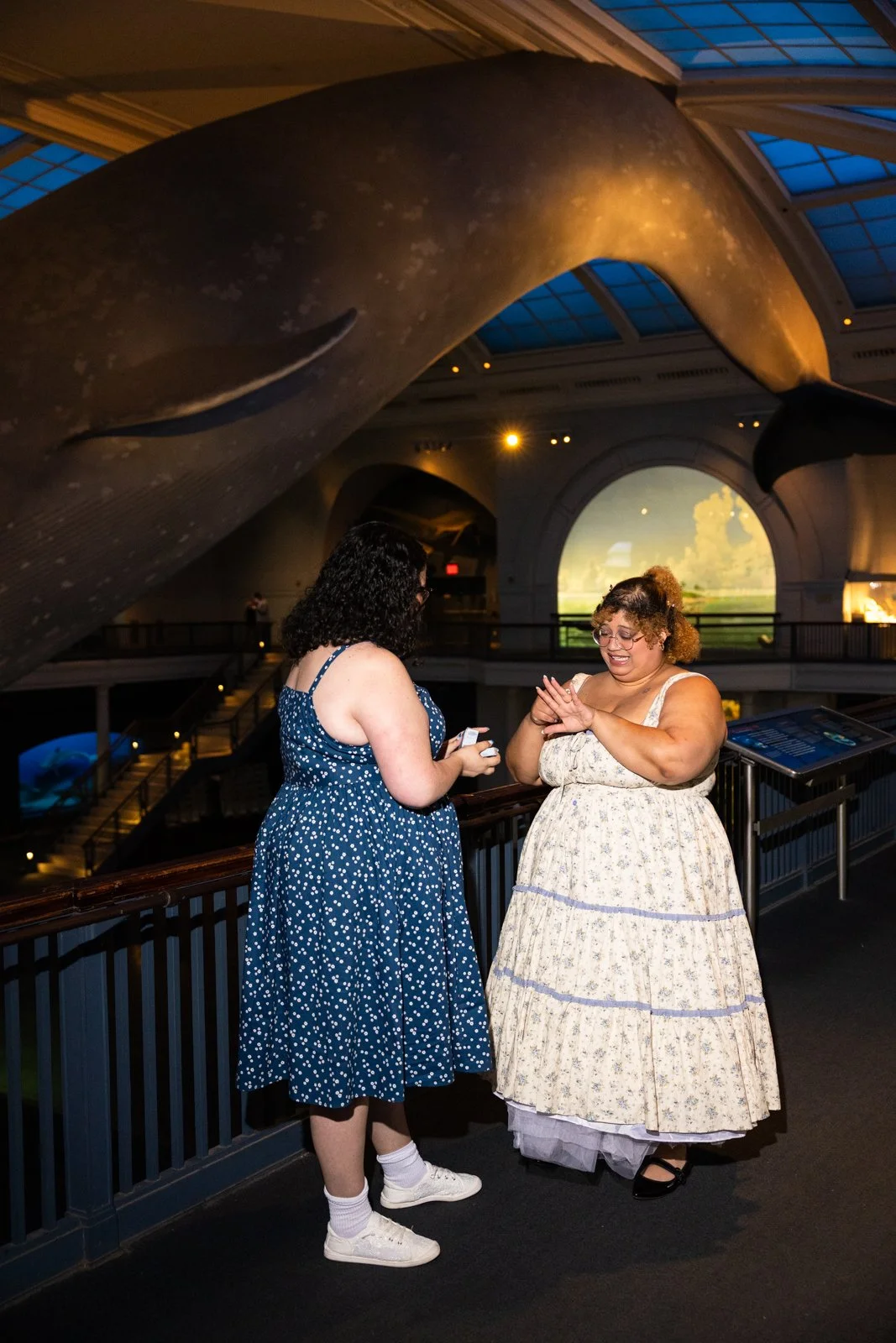 Museum_Of_Natural_History_Proposal_13.jpg