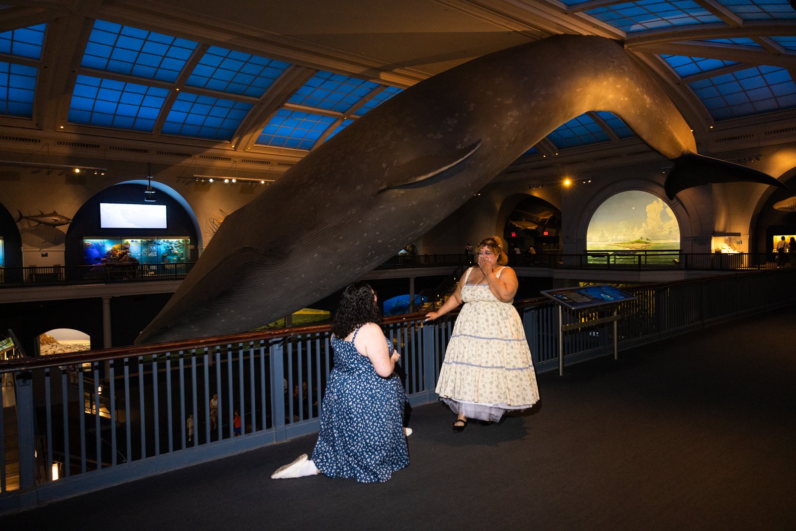 Museum_Of_Natural_History_Proposal_10.jpg