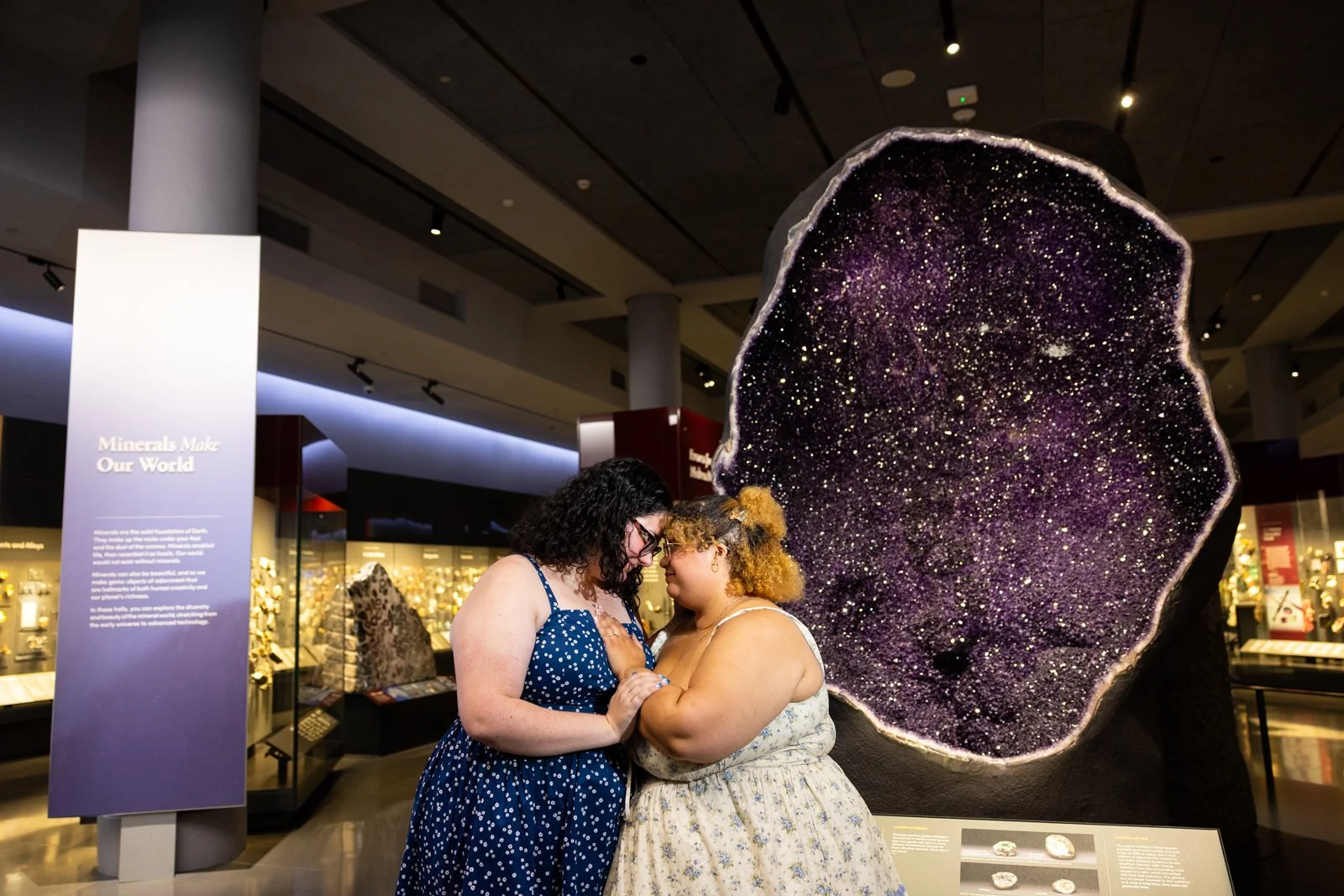 Museum_Of_Natural_History_Proposal_08.jpg