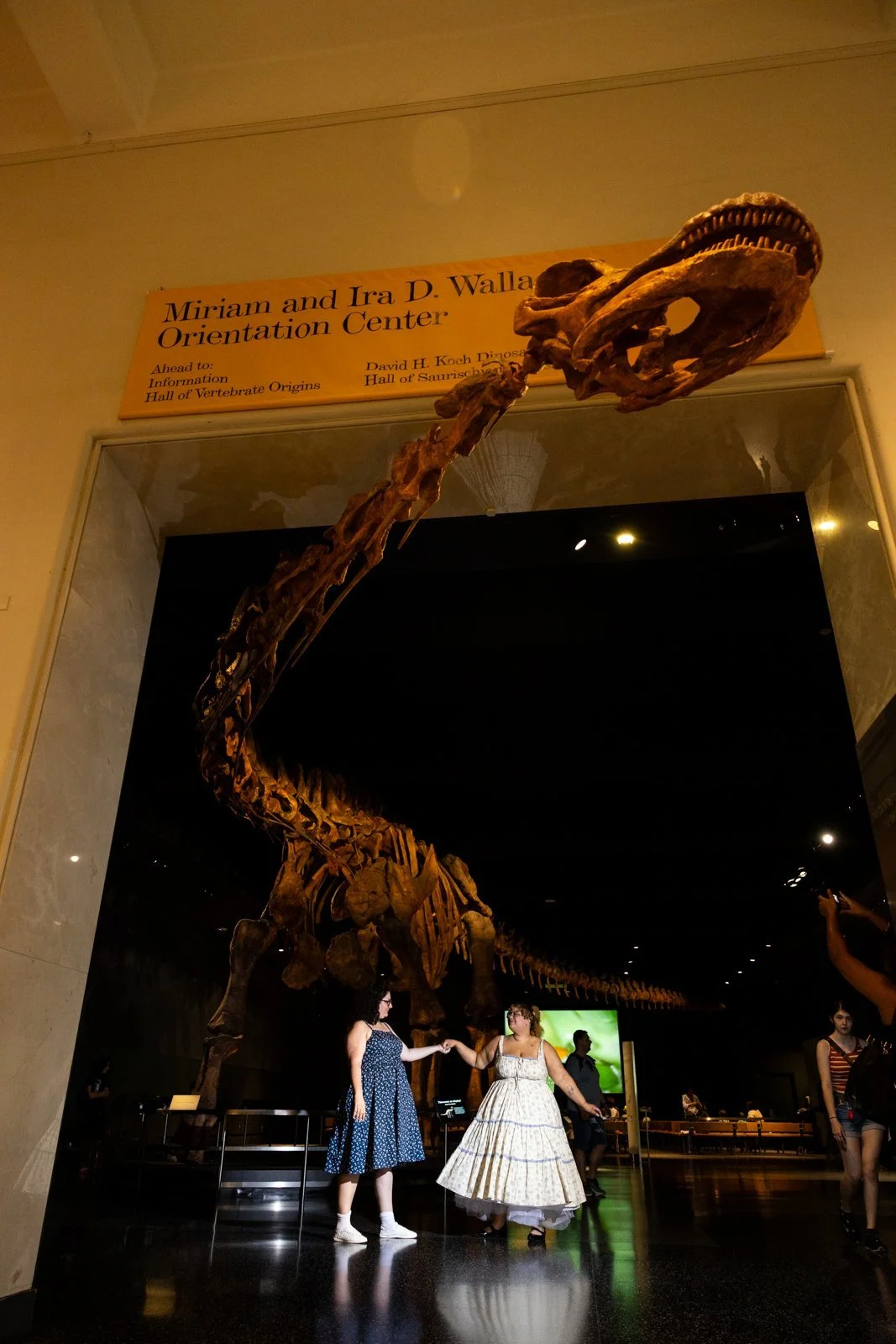Museum_Of_Natural_History_Proposal_03.jpg