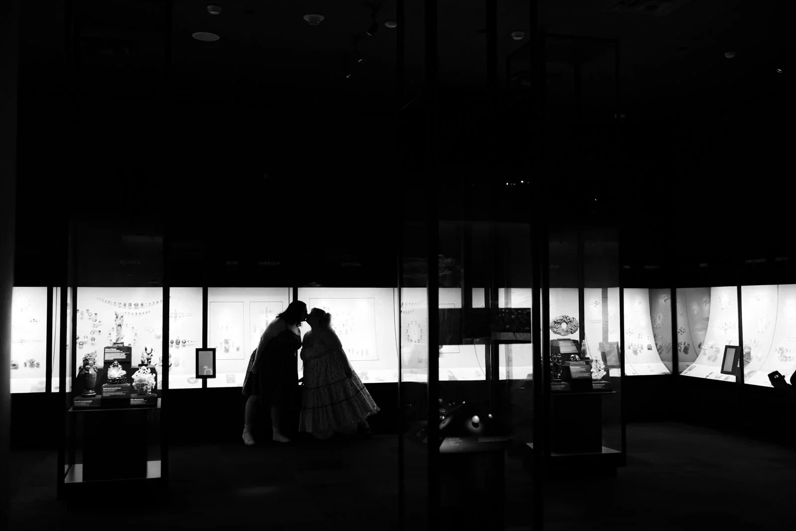 Museum_Of_Natural_History_Proposal_05.jpeg