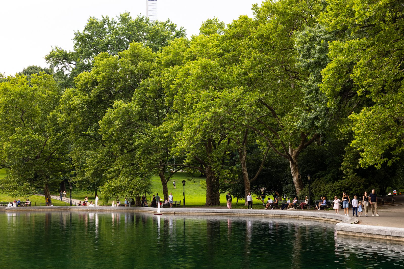 Central Park Model Boat - Early Evening _ 040.jpg