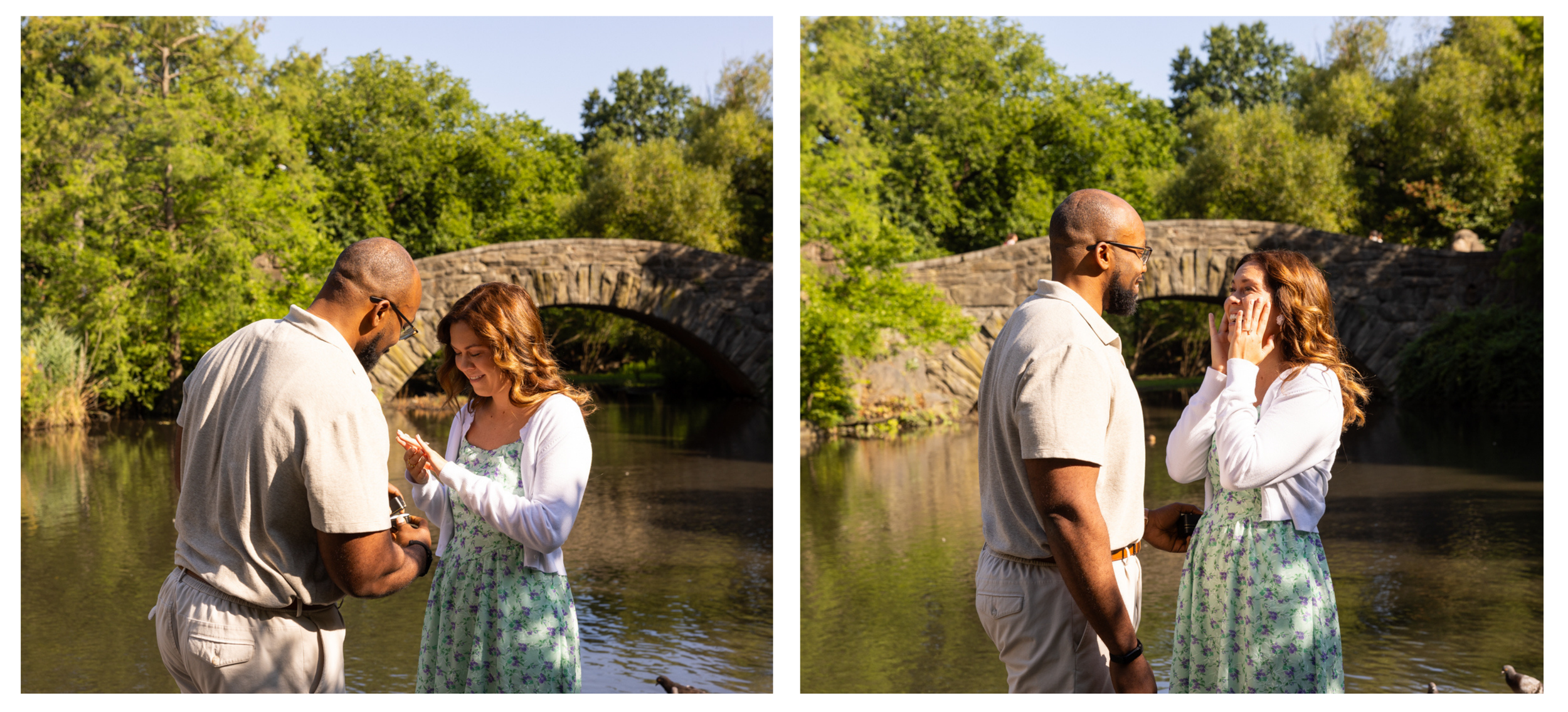 Kevin 07242026 CP Gapstow Bridge _ 243.png