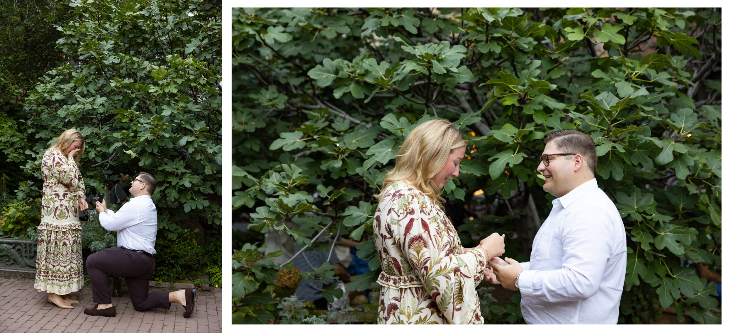 Proposal _ Alex _Elizabeth Street Garden _ Evening _ 09052026 _ 632.png