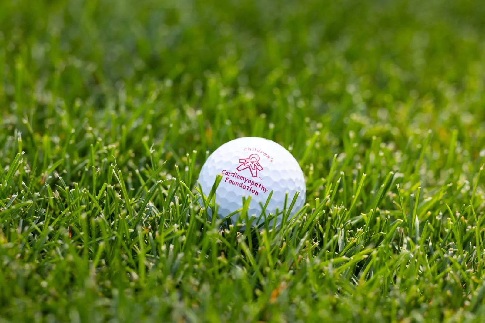 Golf Outing_07202026 _ 730.jpg