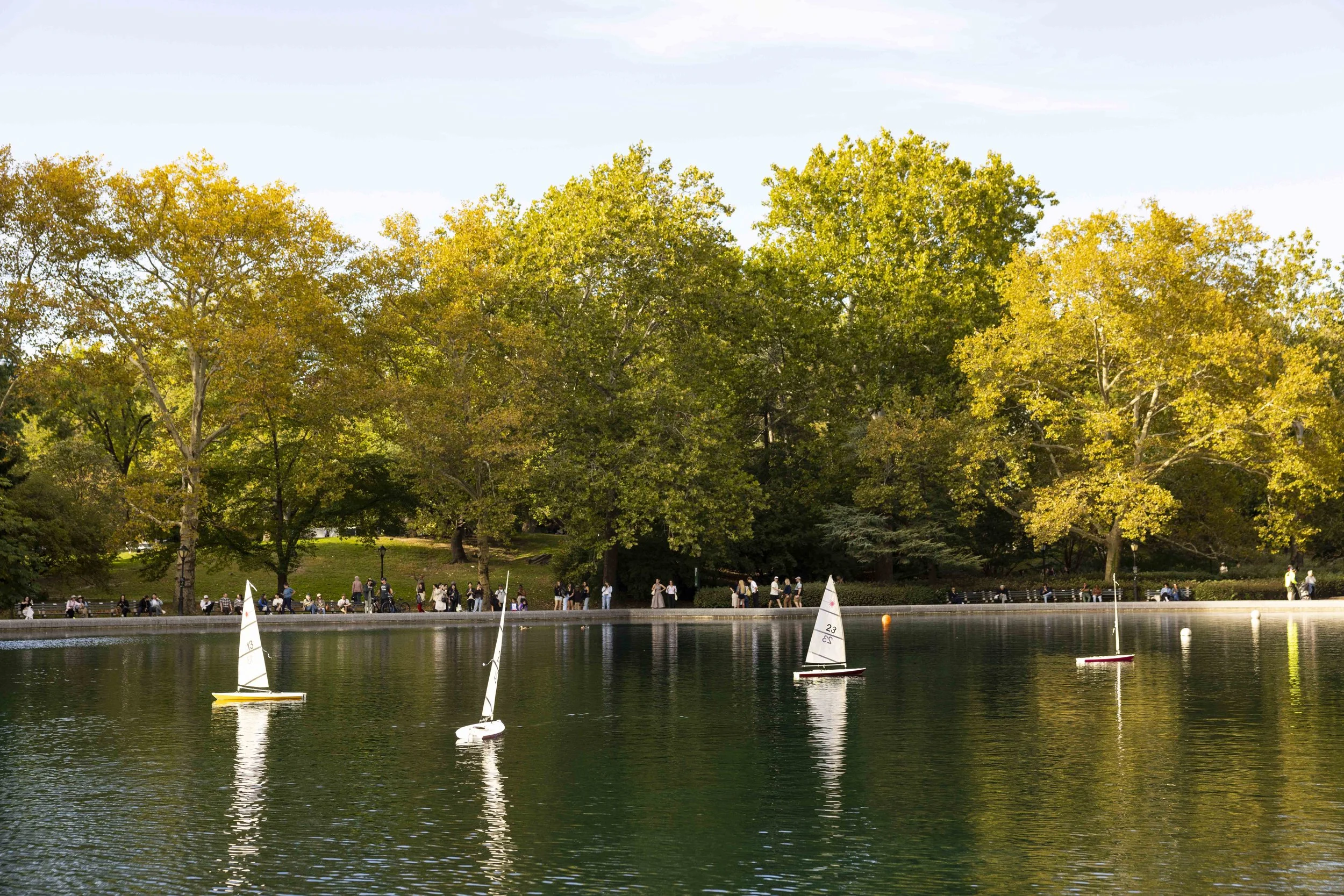 Neal 10092026 Model Boat Pond Proposal Afternoon _ 847.jpg