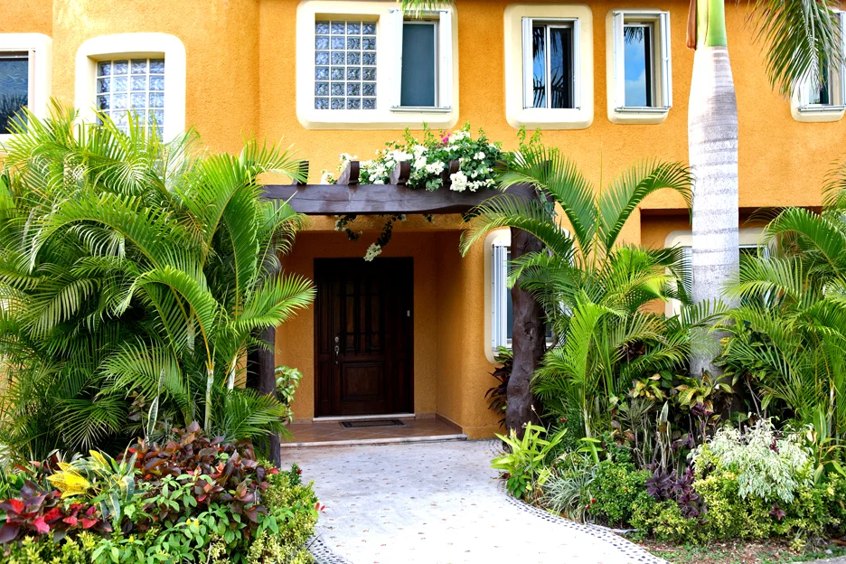 Tropical Landscape