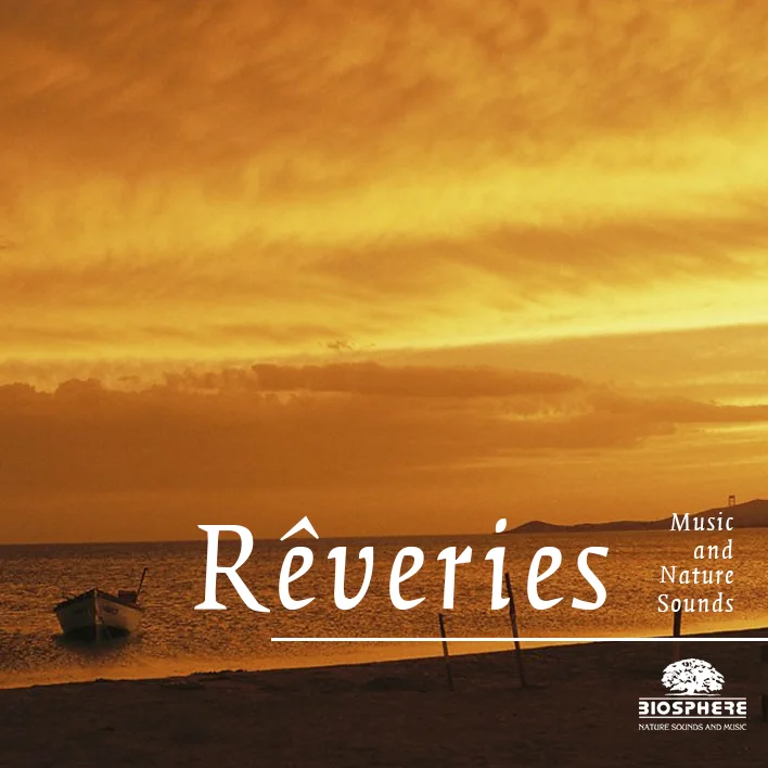 Reveries.jpg