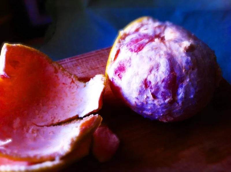 grapefruit