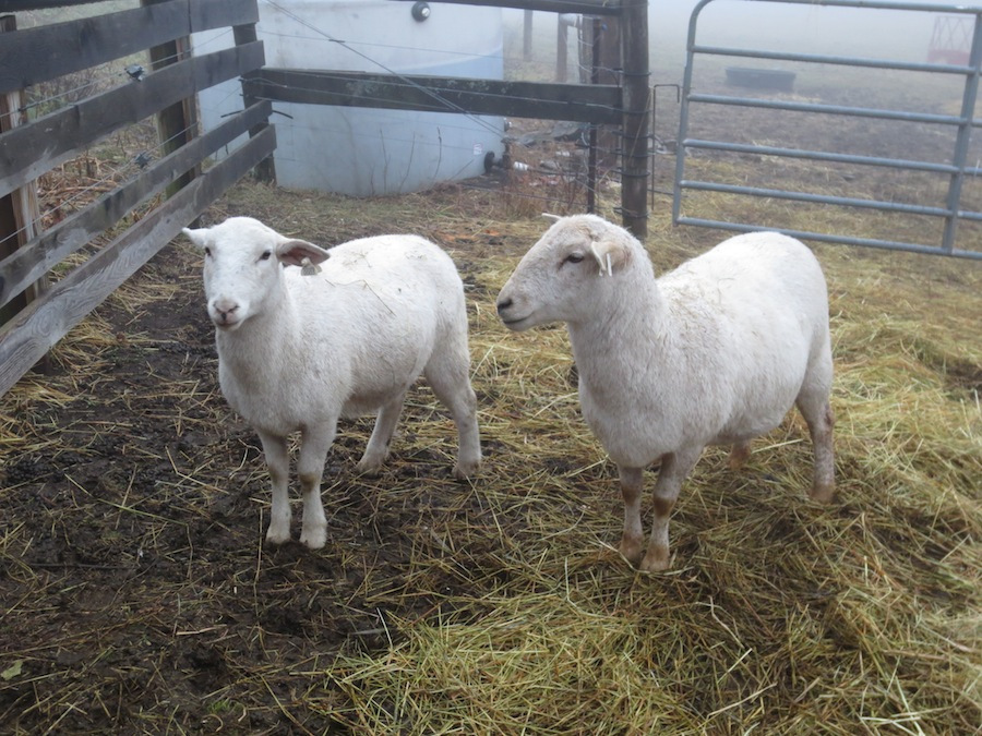 mab and daughter s.jpg