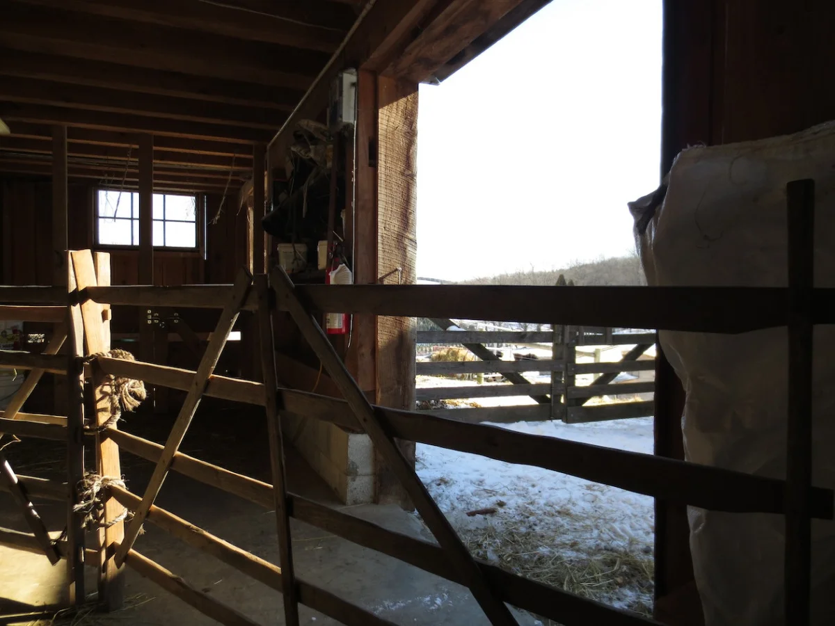 hurdles in barn sm.jpg