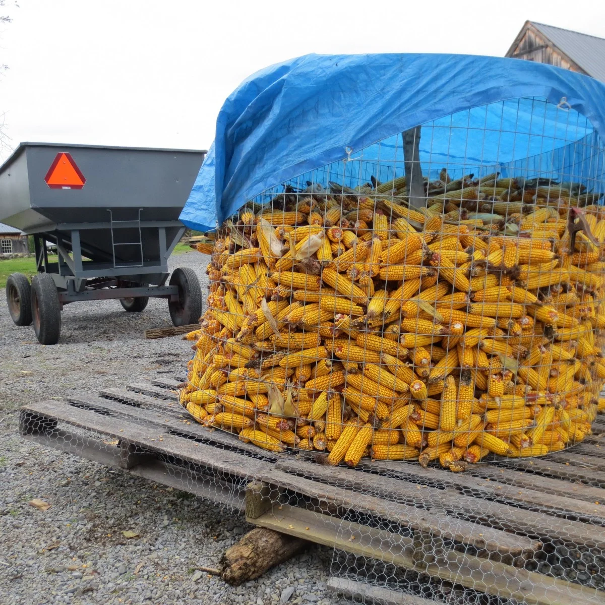 Corncrib
