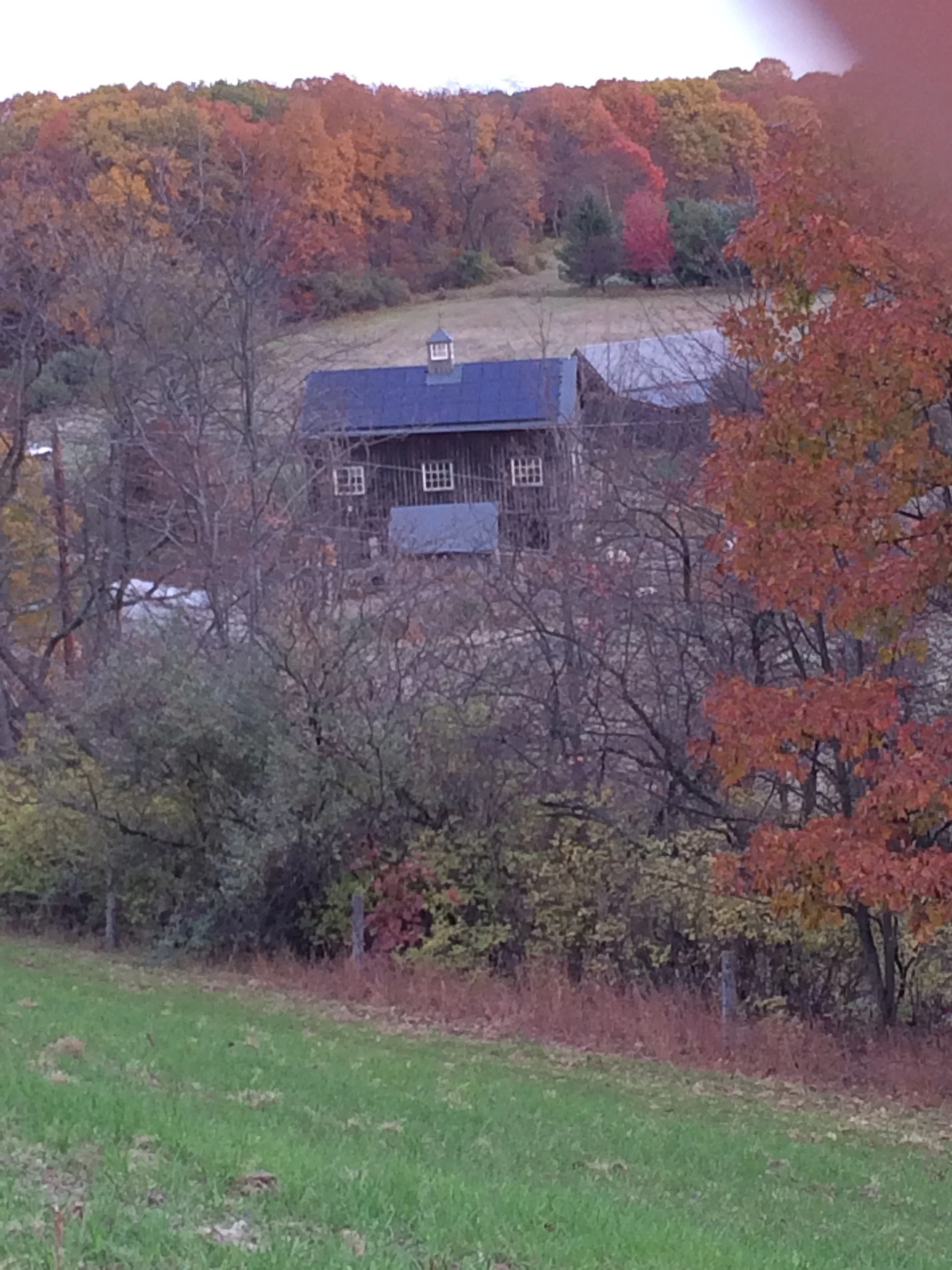 The Boat Barn sits across the drive, behind and a little to the right of the Barn.