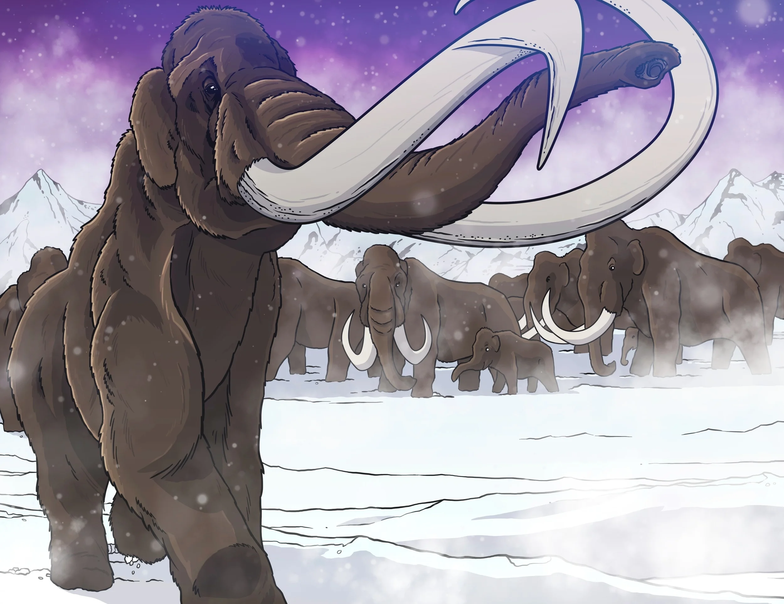 Mammoths!2.jpg