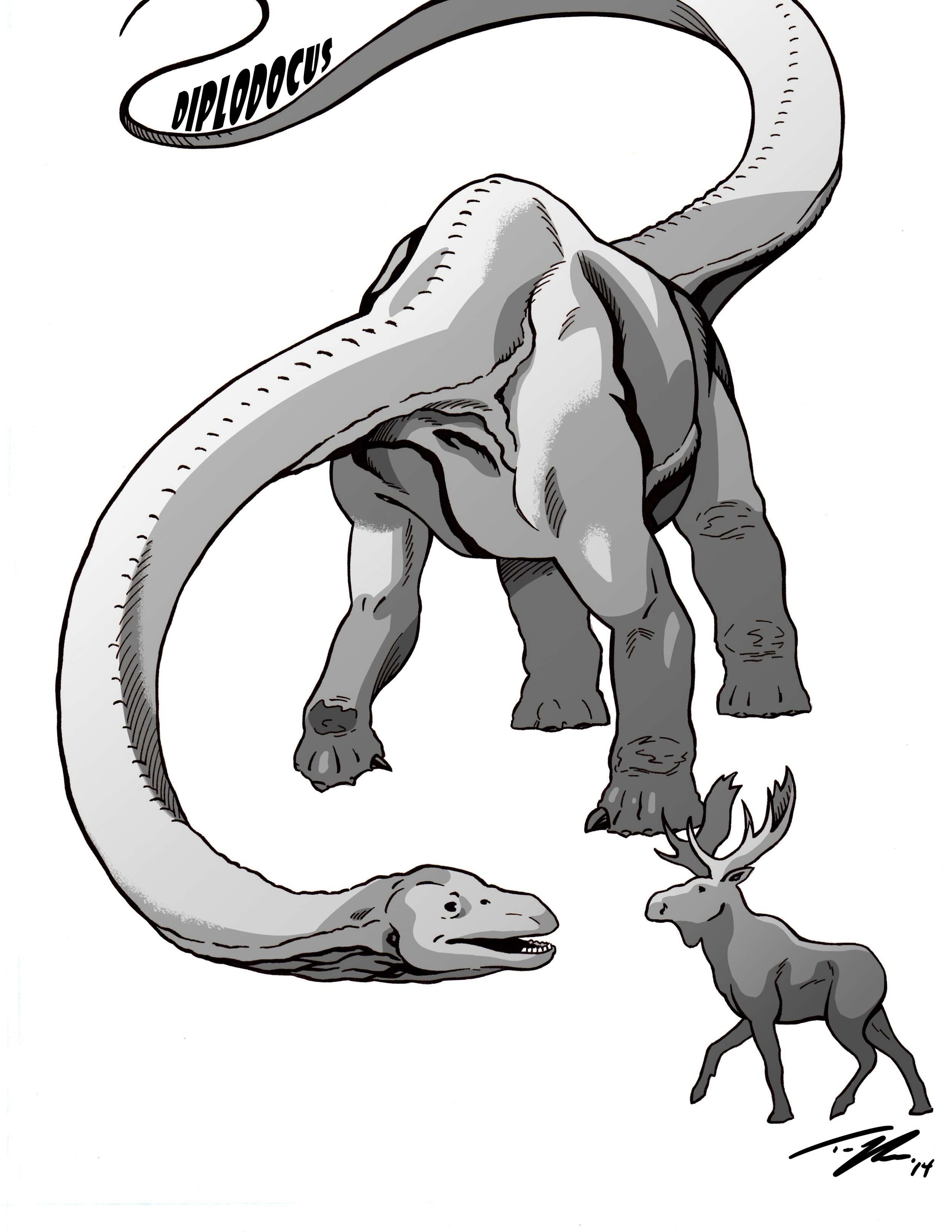 Big herbivores, past and present. Diplodocus meets Moose. 