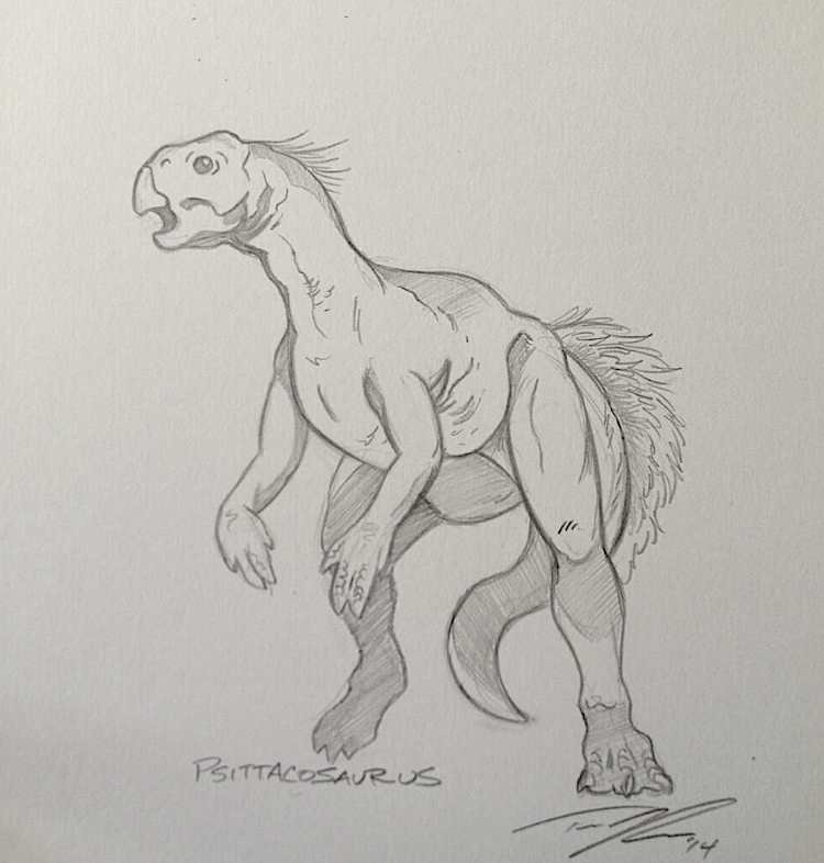 Certainly not a headliner, Psittacosaurus. 