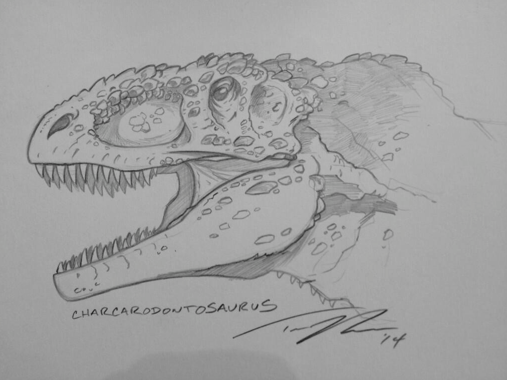 Charcarodontosaurus, the "Shark Toothed Lizard."