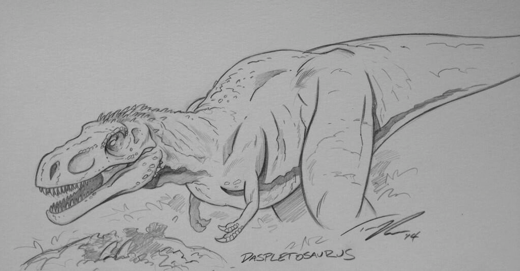 A cousin of T.rex, Daspletosaurus. 