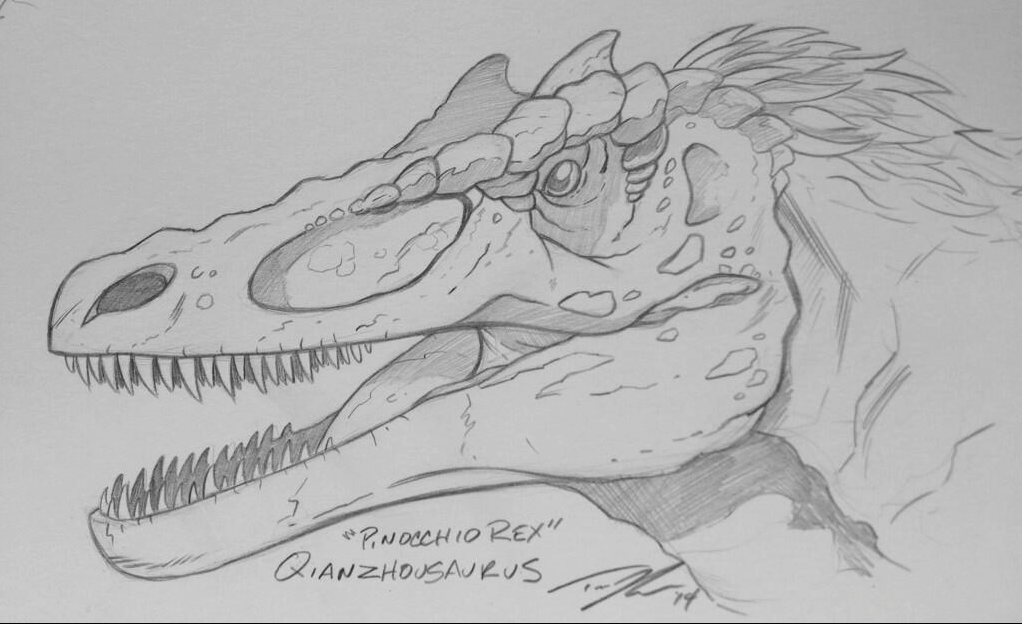 Another new favorite, the newly discovered "Pinocchio Rex", Qianzhousaurus. 