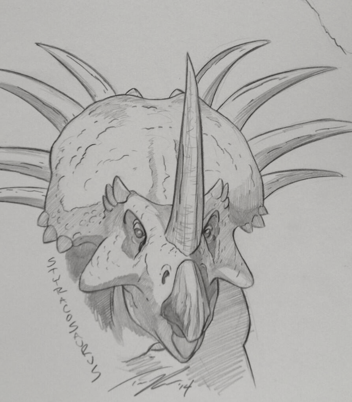 Don't mess with Styracosaurus!