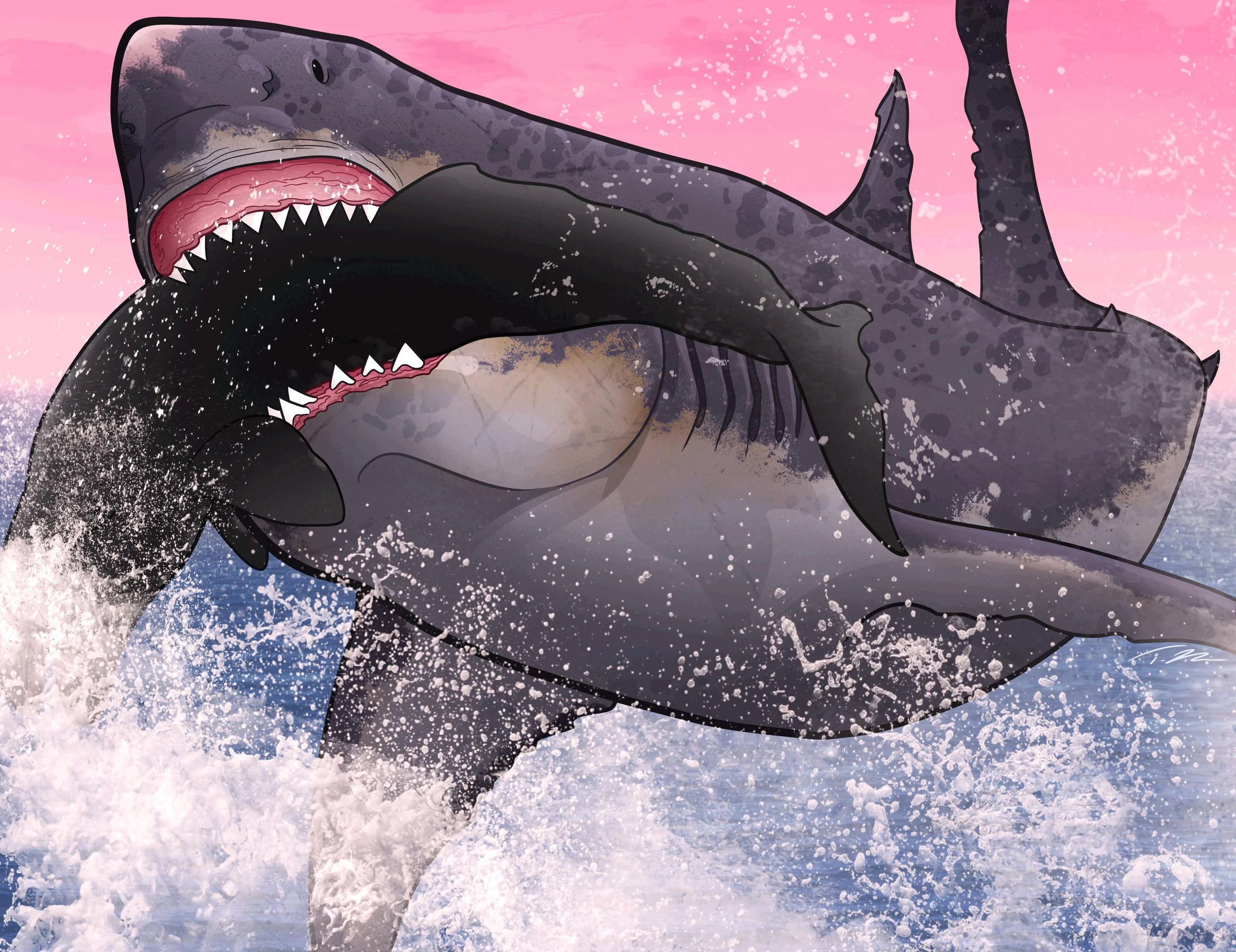 Megalodon!