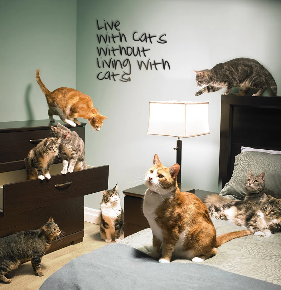FLATO Condos : Artistic living