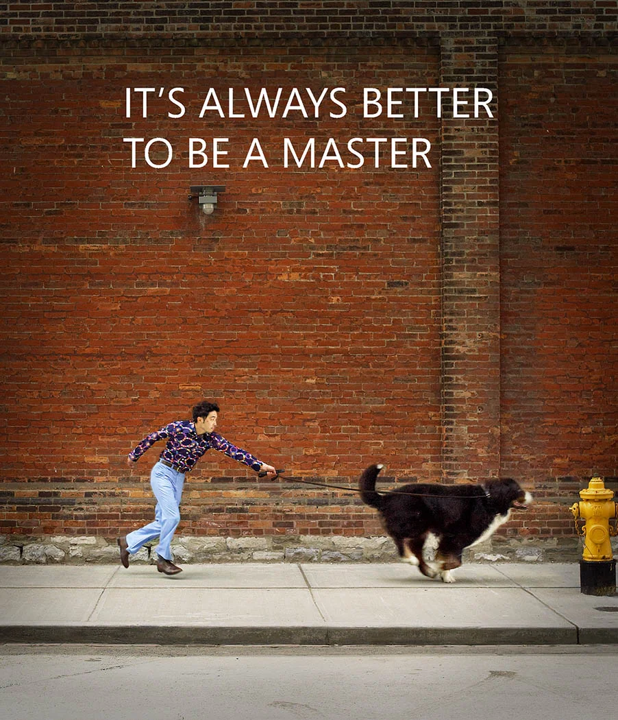 Microsoft Masters Certificate Learning Program
