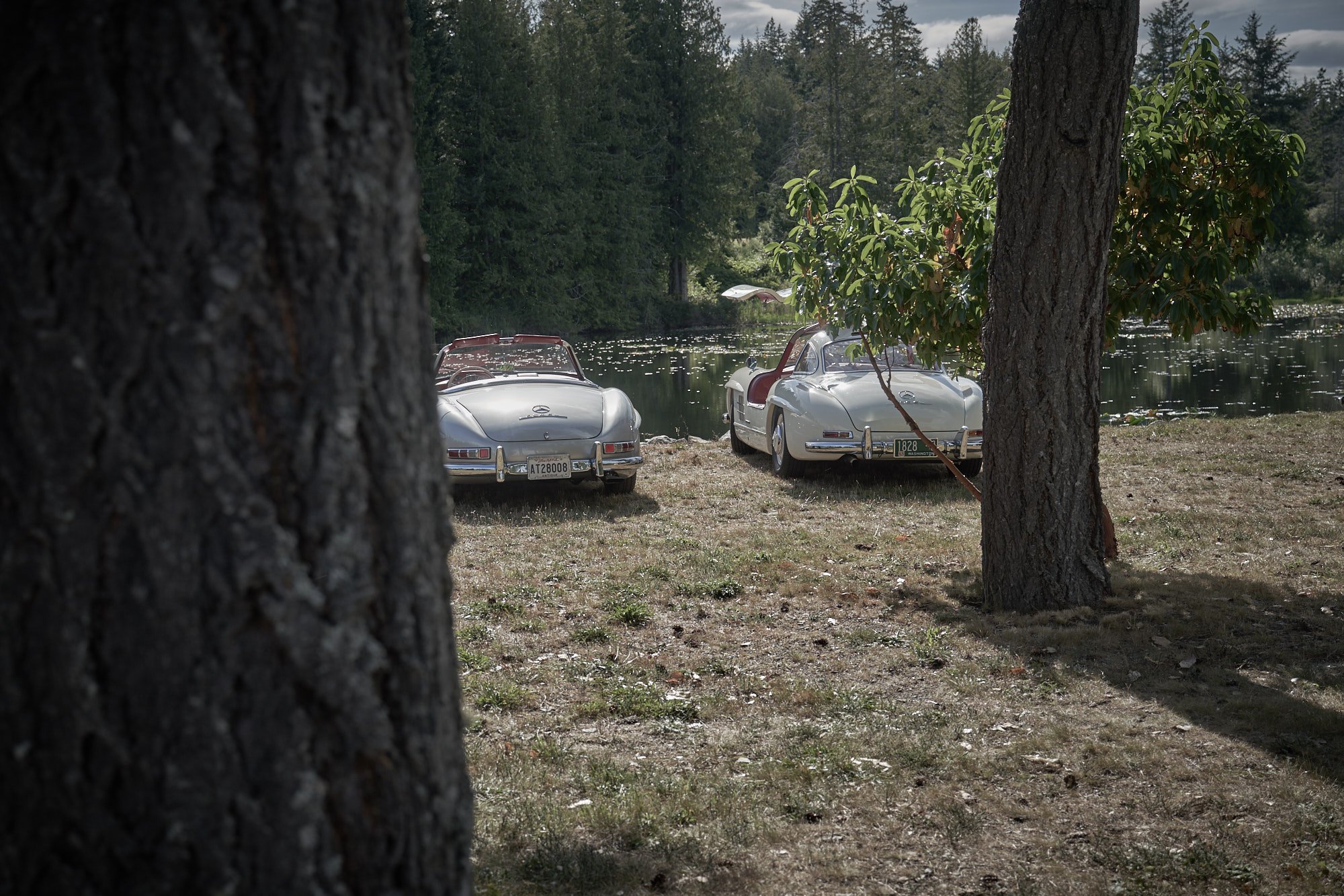 Mercedes_GullWing_Malahat_2174.jpg