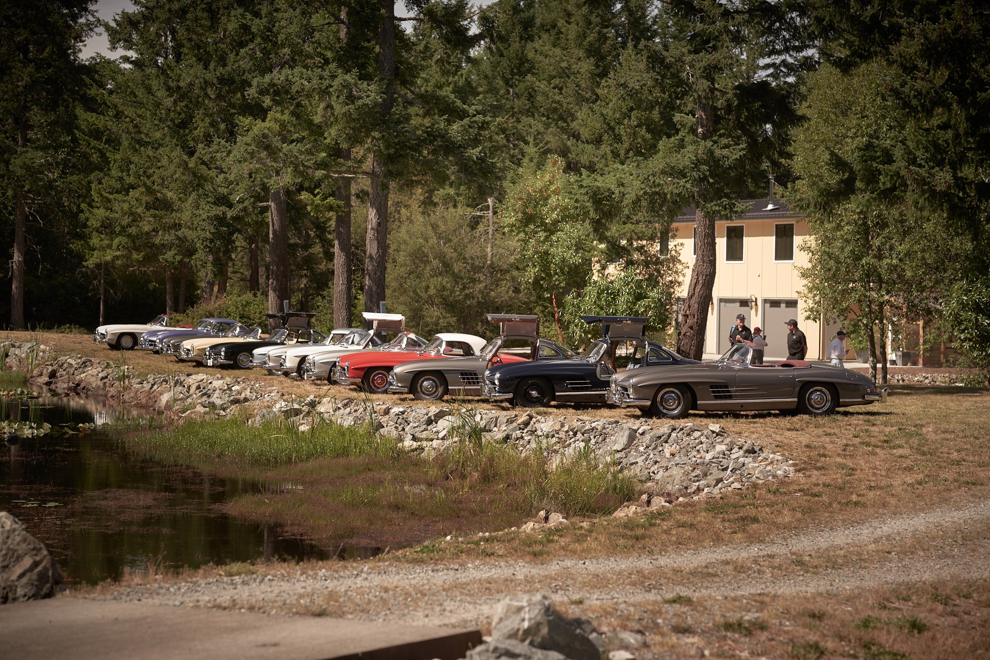 Mercedes_GullWing_Malahat_2138.jpg
