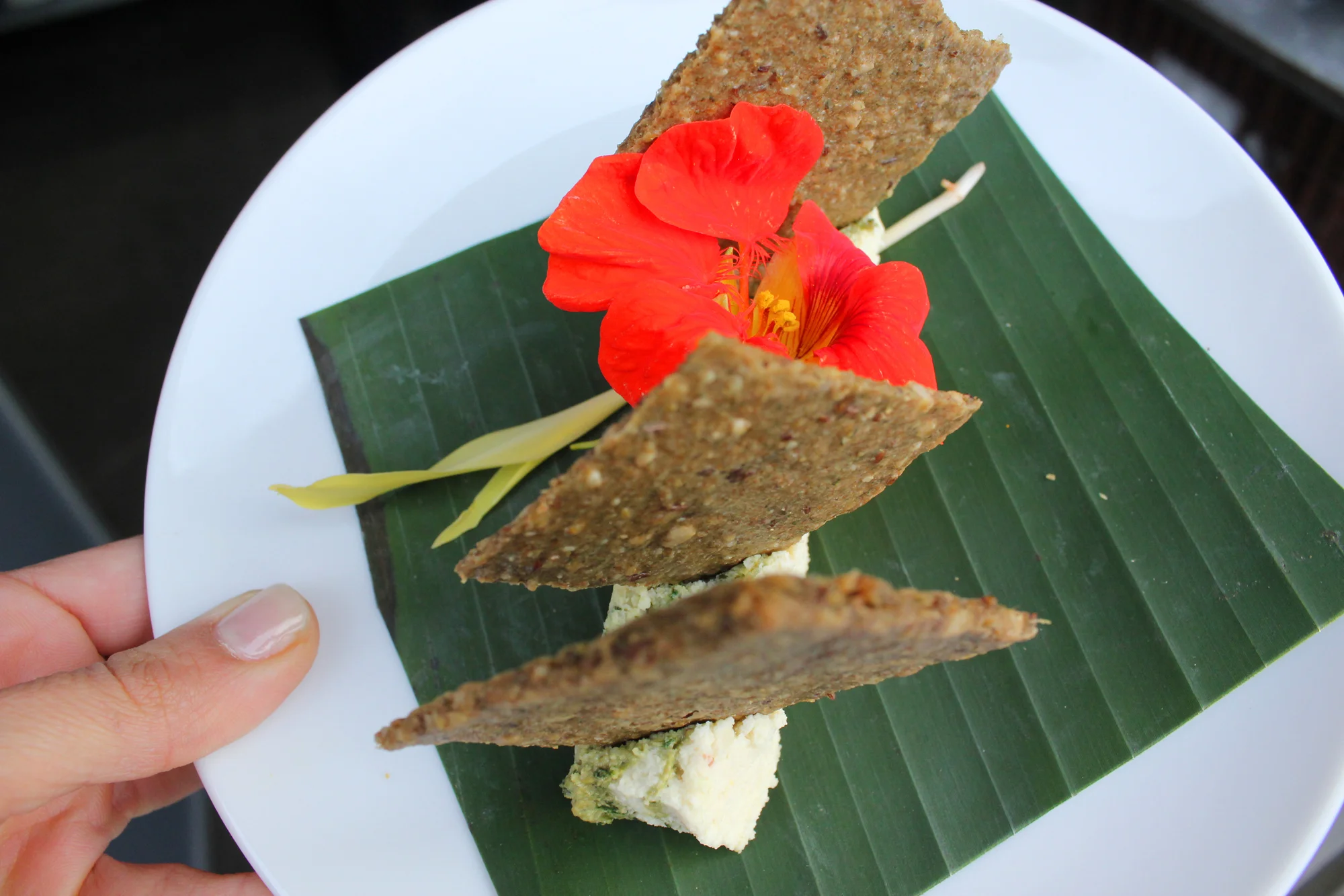 Chef Nina Curtis presents "Food In Bloom" at The Dining Room LA. Nina is a raw vegan chef and Founder and President of The Nile Institute in West Hollywood. 