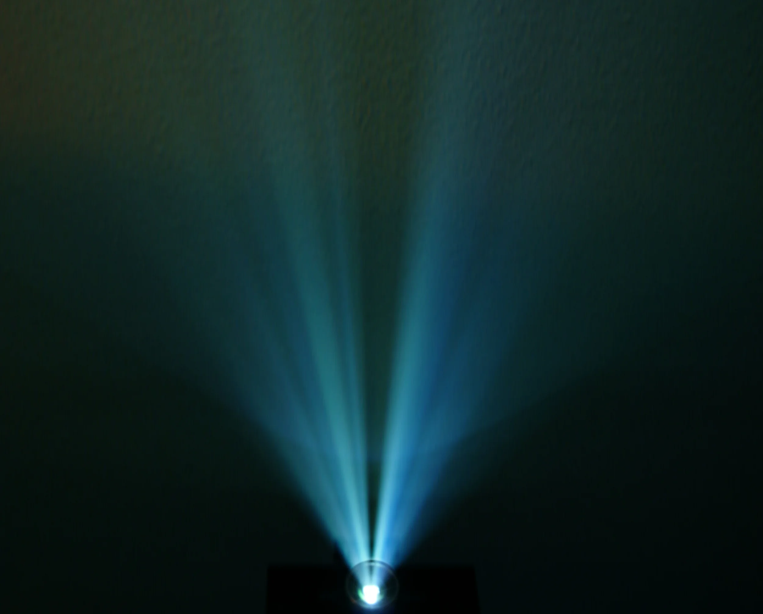 Cinema 2014: Year in Review