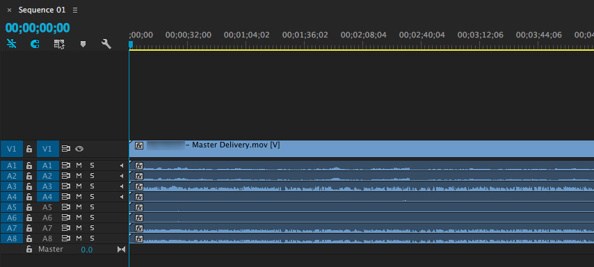 Dropping the file into a track-based editor (such as Premiere Pro) shows all our tracks came through nicely, and in the order we set them up.
